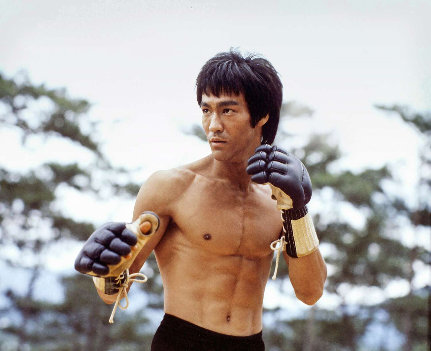 Bruce Lee