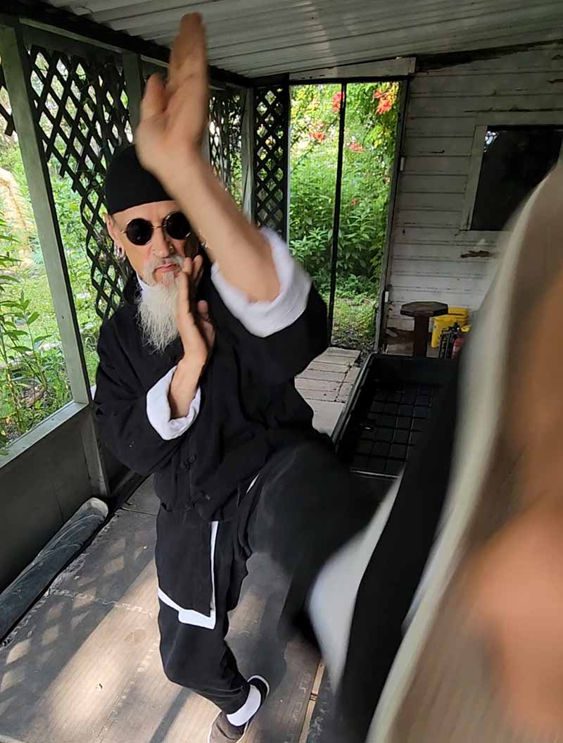 Chris Arendt Wing Chun structure and technique