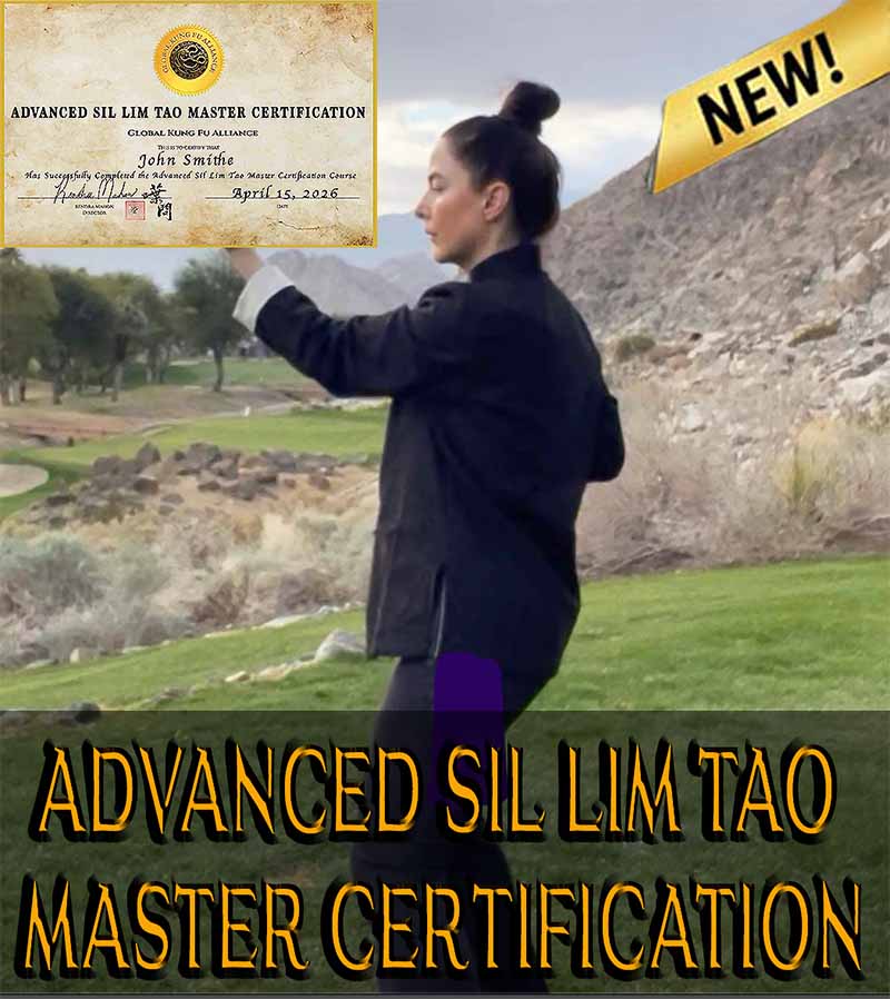 Advanced Sil Lim Tao Wing Chun practice