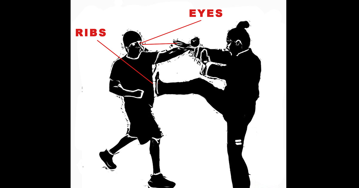 Traditional Wing Chun vs mainstream Wing Chun: the two lines from Grandmaster Ip Man