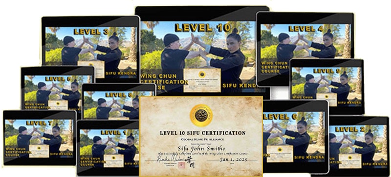 Best Wing Chun Online Courses